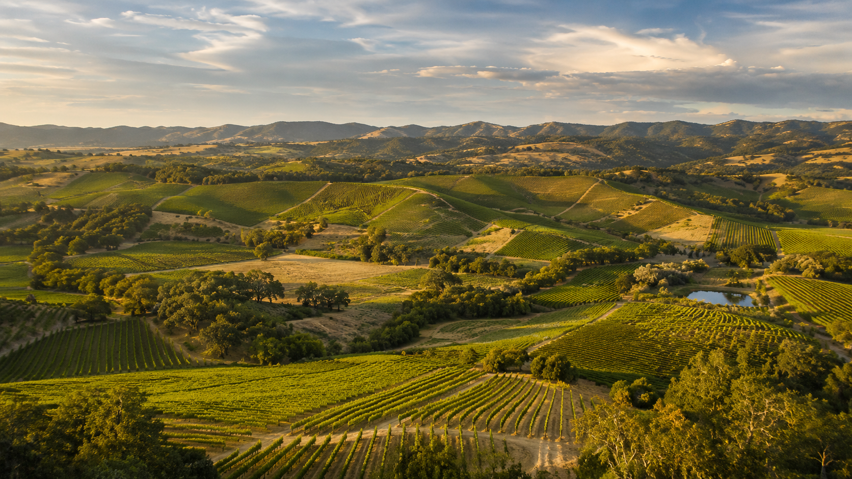 Napa Wine Country